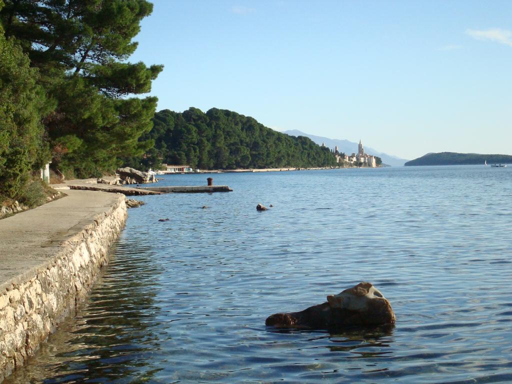 Gušići