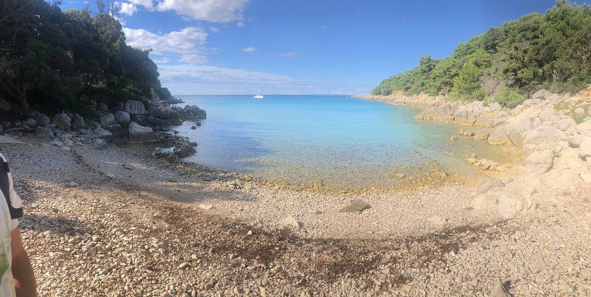 Jelenovica