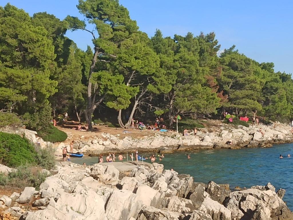 Kandarola
