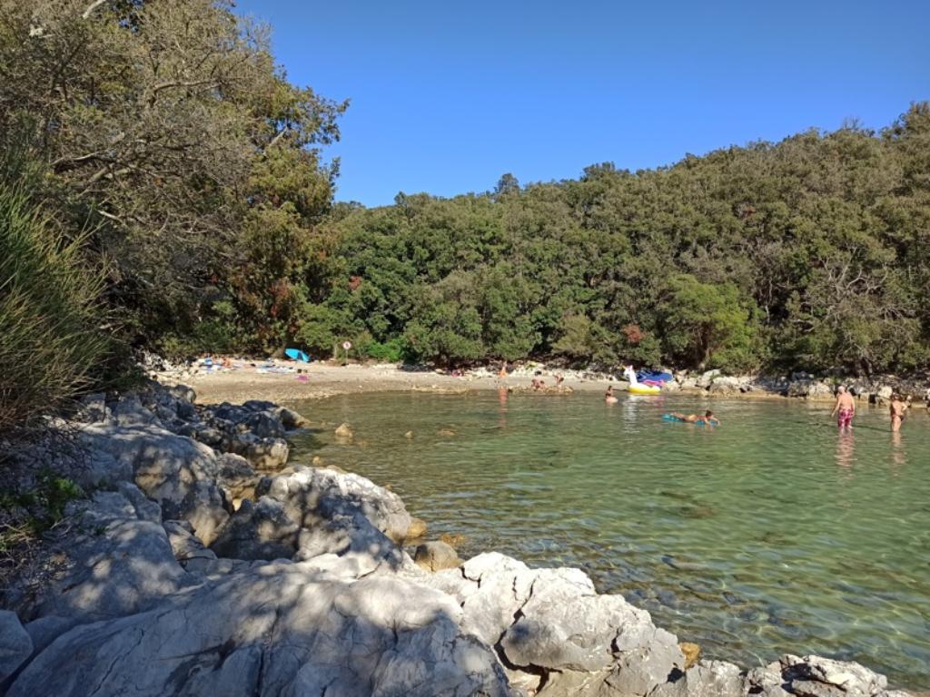 Uvala Gožinka