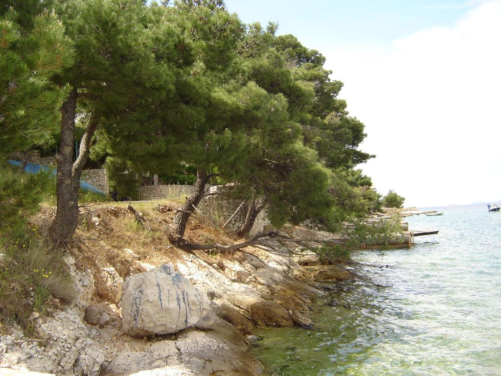 Šparadići