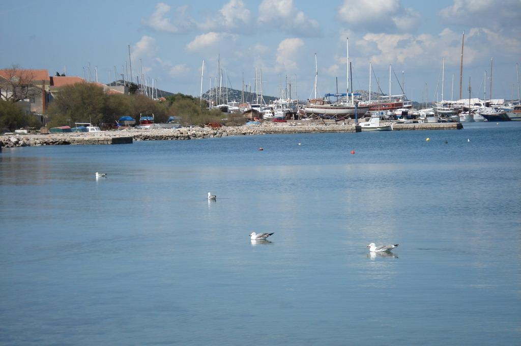 Murter, Hramina