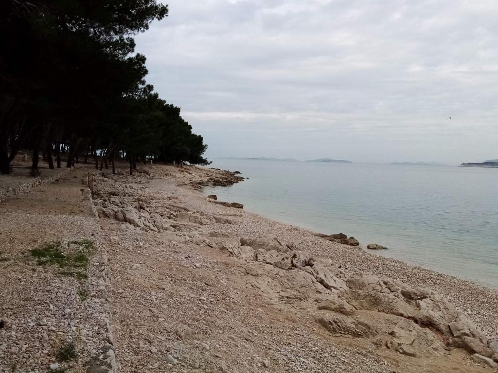 Autocamp Adriatic, sredina