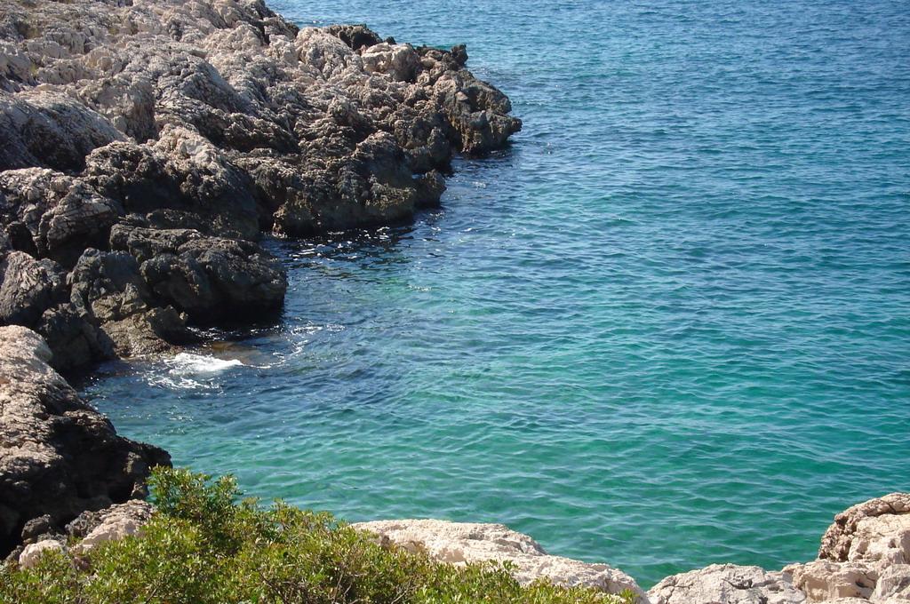 Autocamp Adriatic, sredina