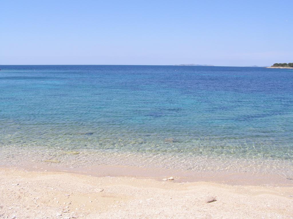 Raduča mala