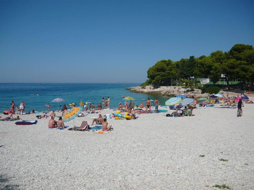 Raduča mala