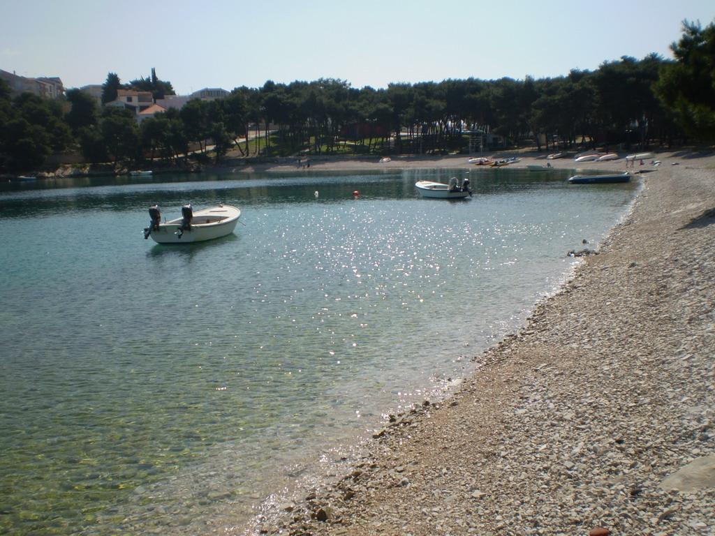 Raduča velika, izlaz