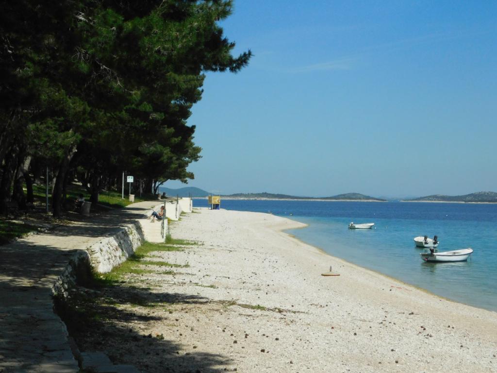Raduča velika, početak