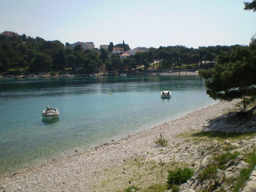 Raduča velika, sredina
