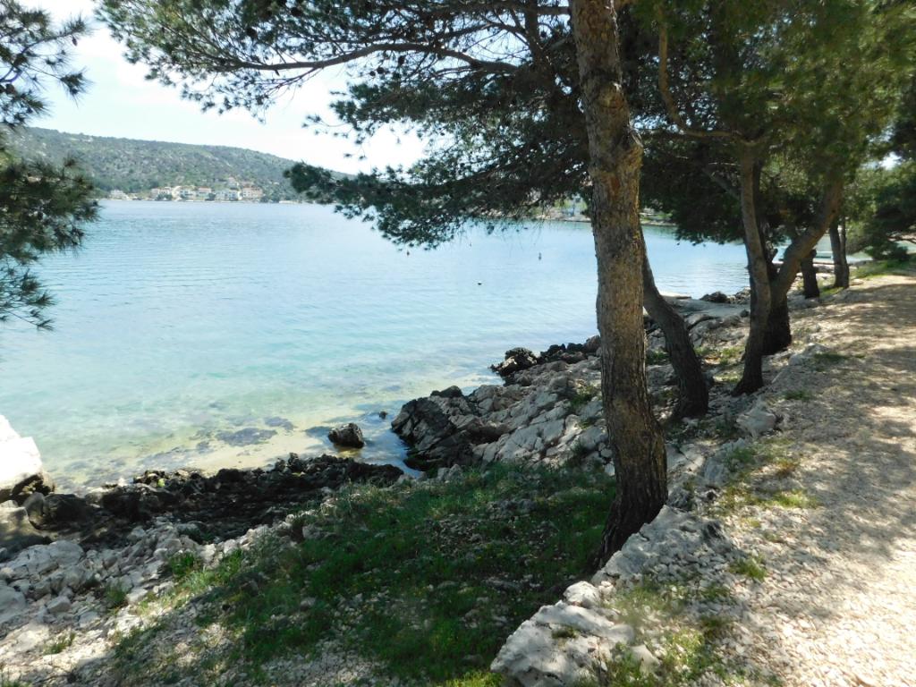 Račice