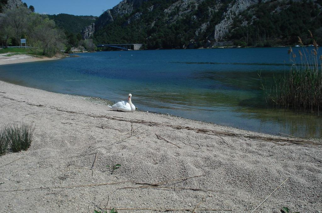 Skradin mjesto