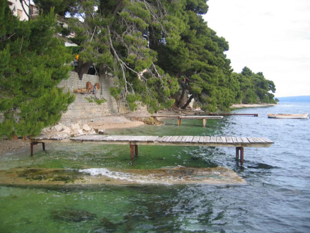 Bajnice