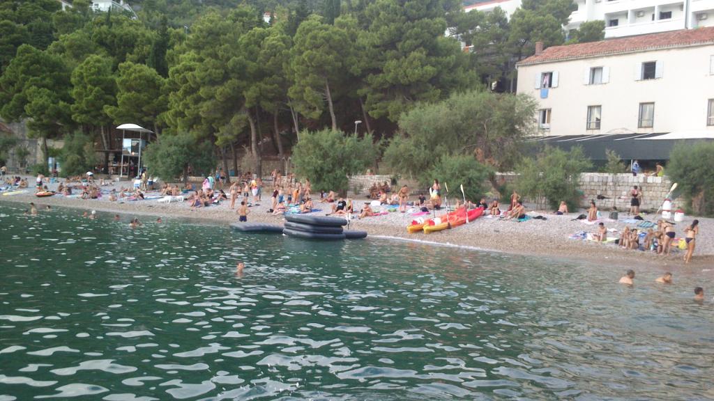 Gusarica