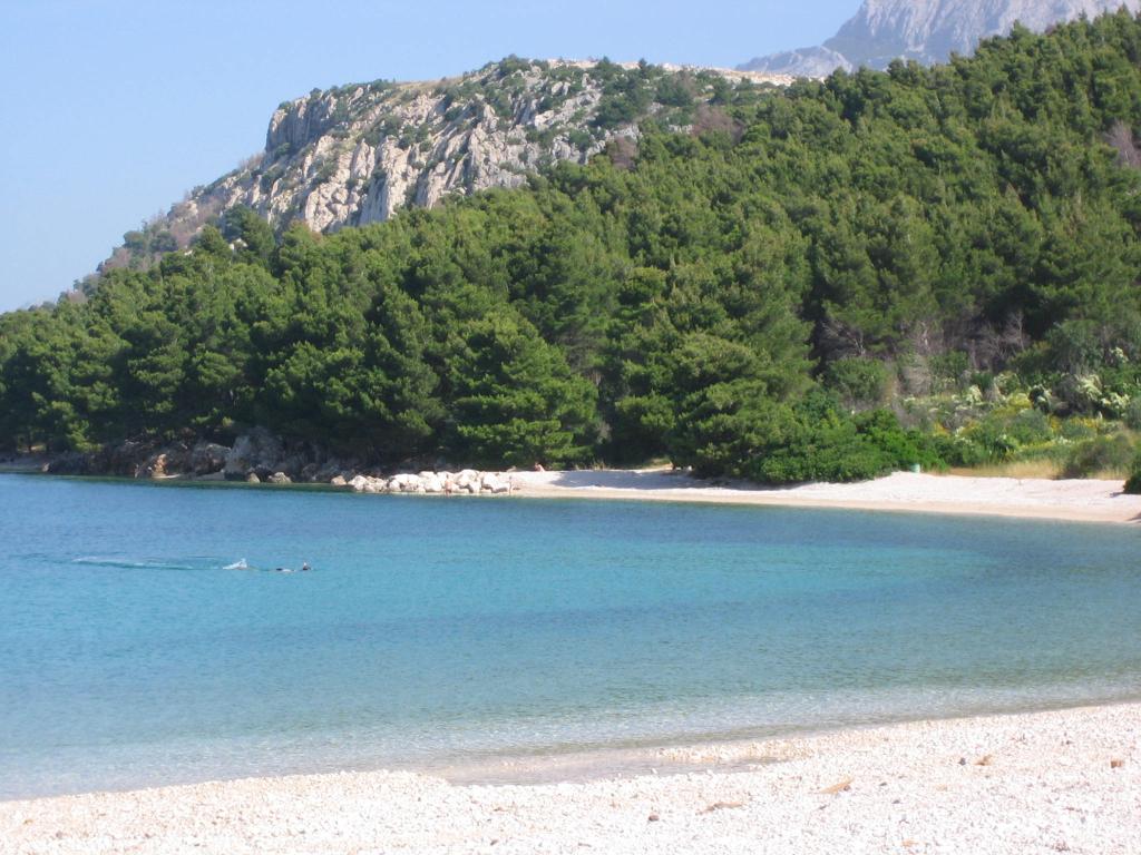 Cvitačka