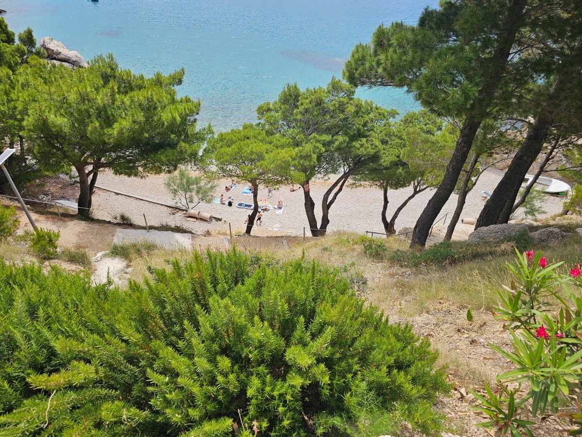 Marušići