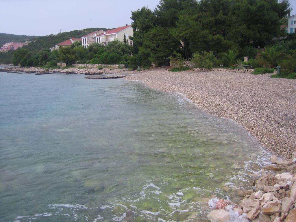 Maslinica