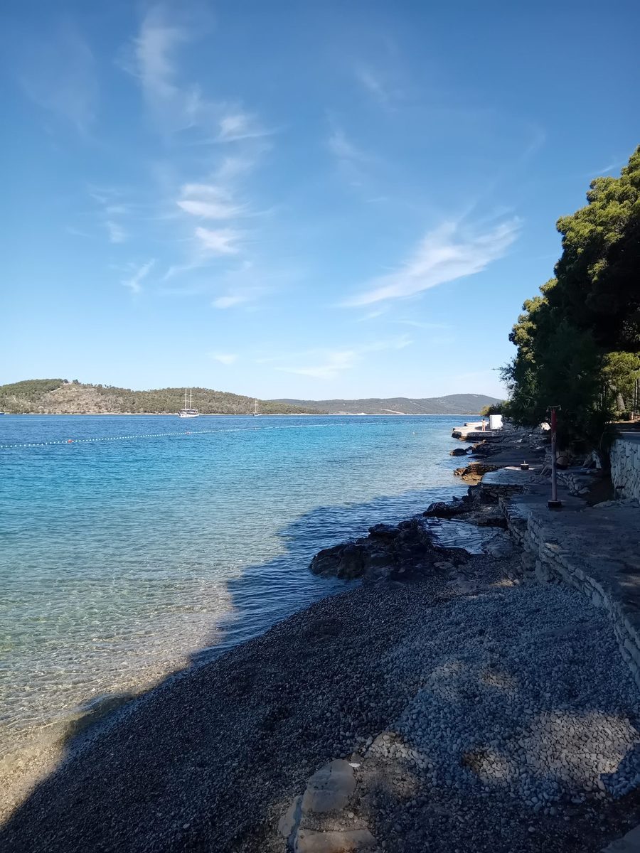 Bijaka