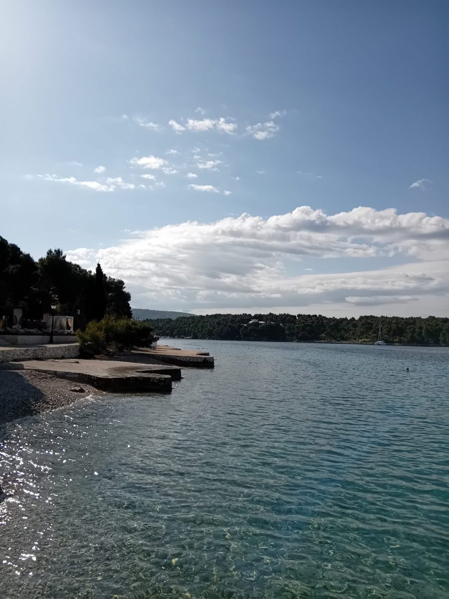 Bijaka
