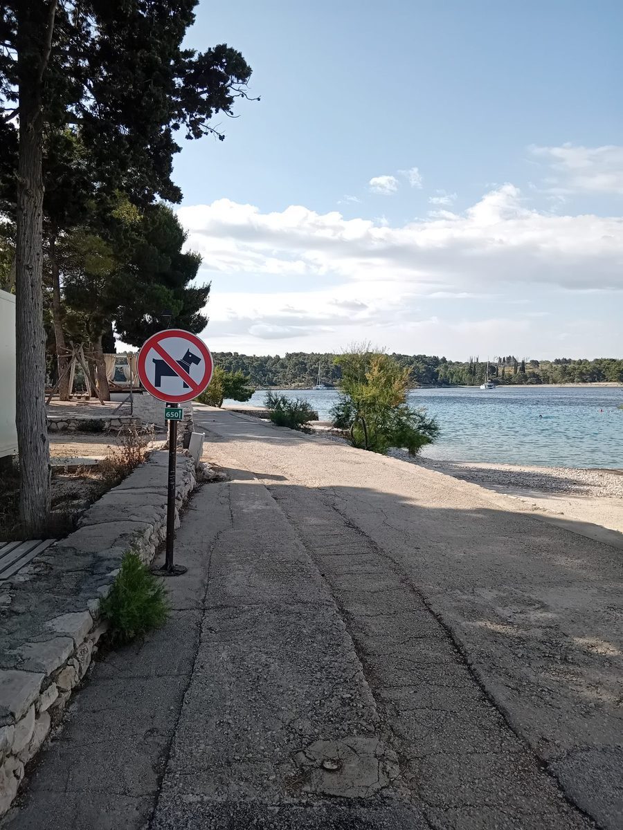 Bijaka