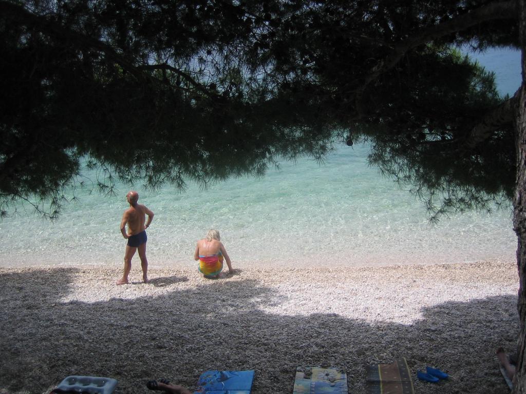 Plišivac