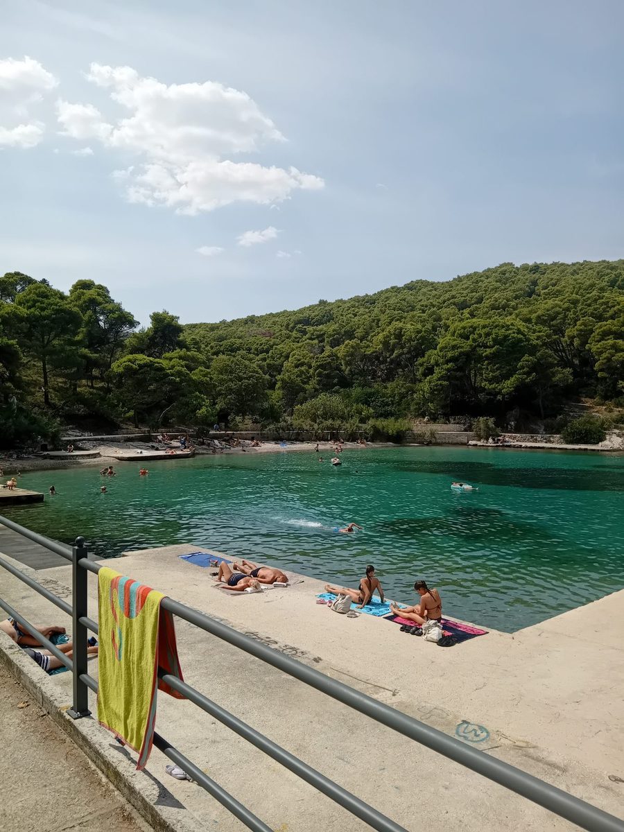 Prvlja