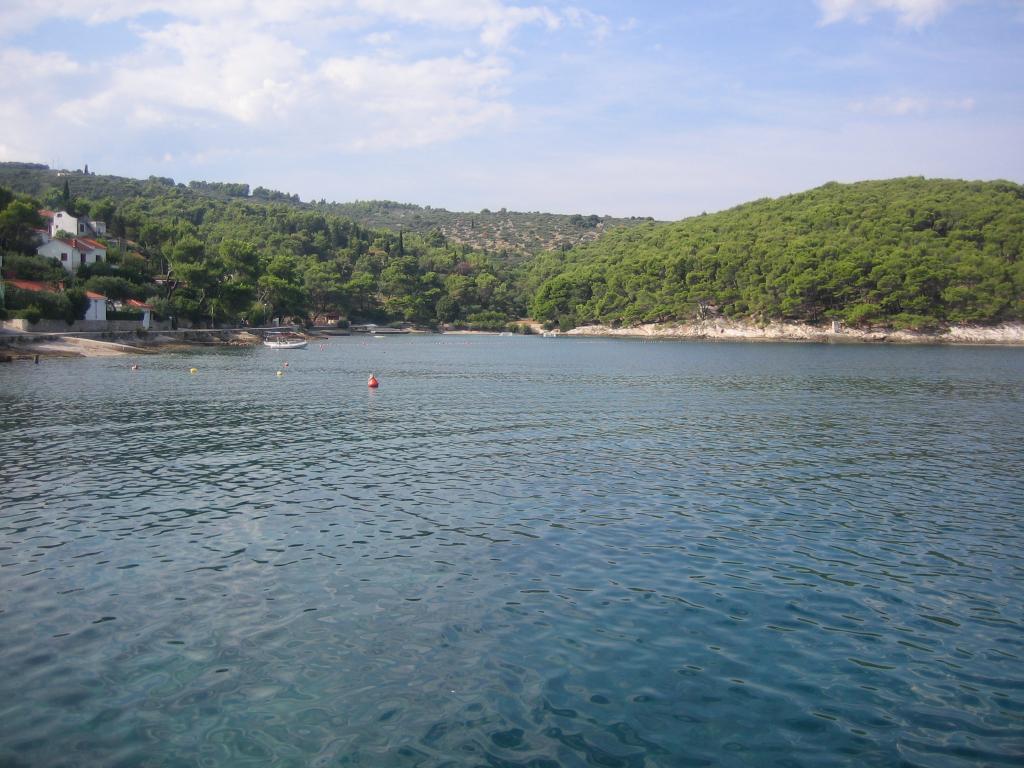 Prvlja