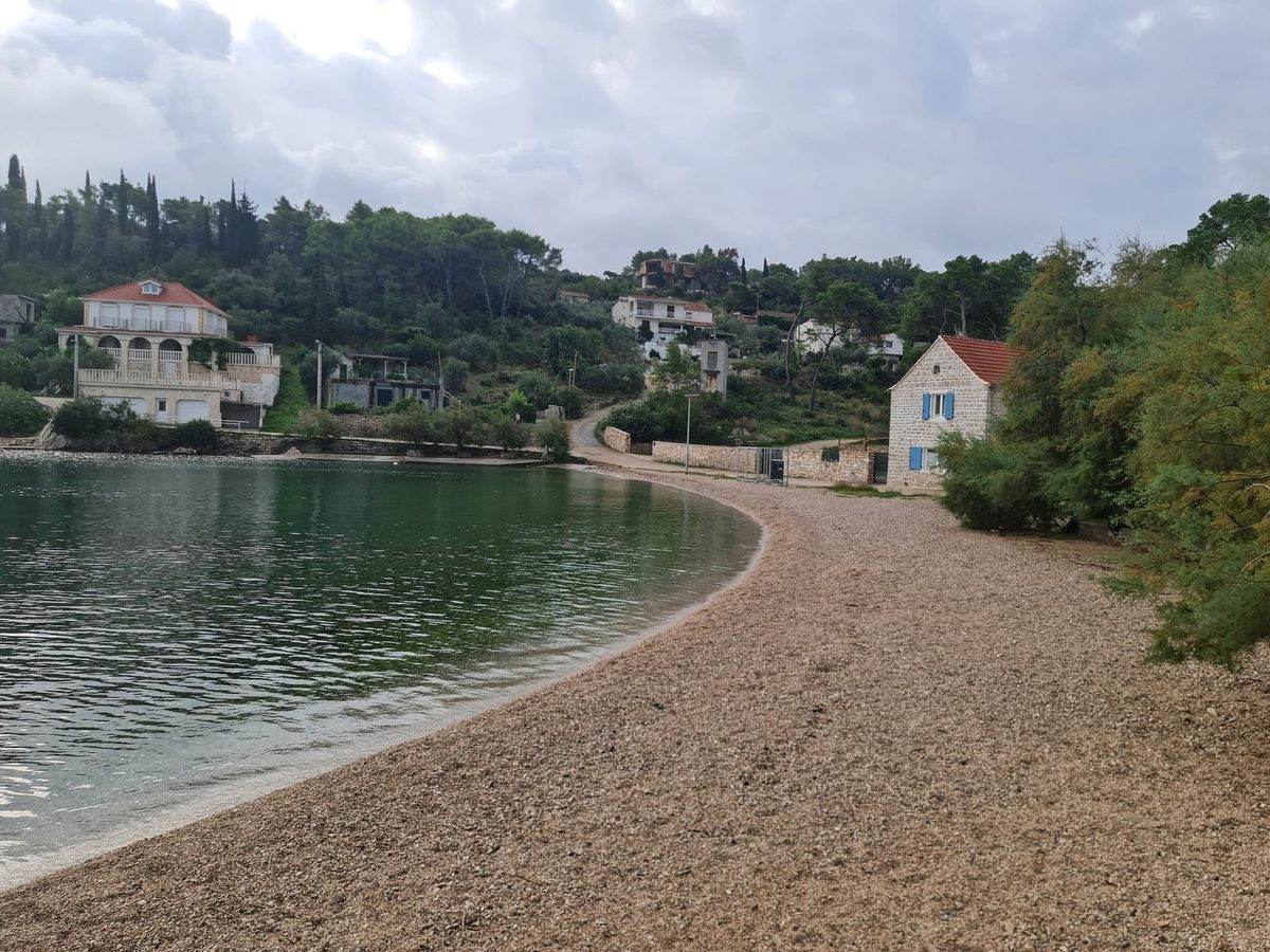 Rogač