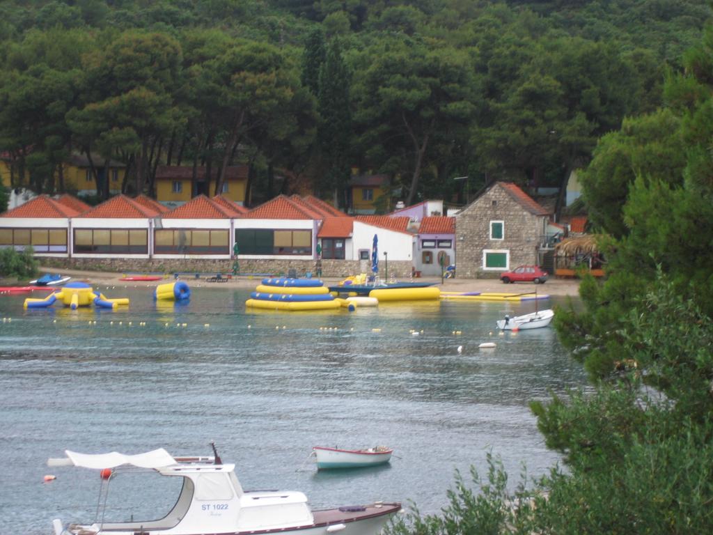 Rogač