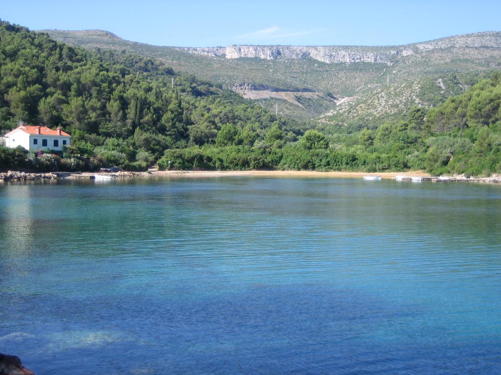 Uvala Maslinica