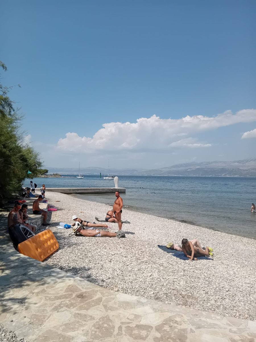Vlačica
