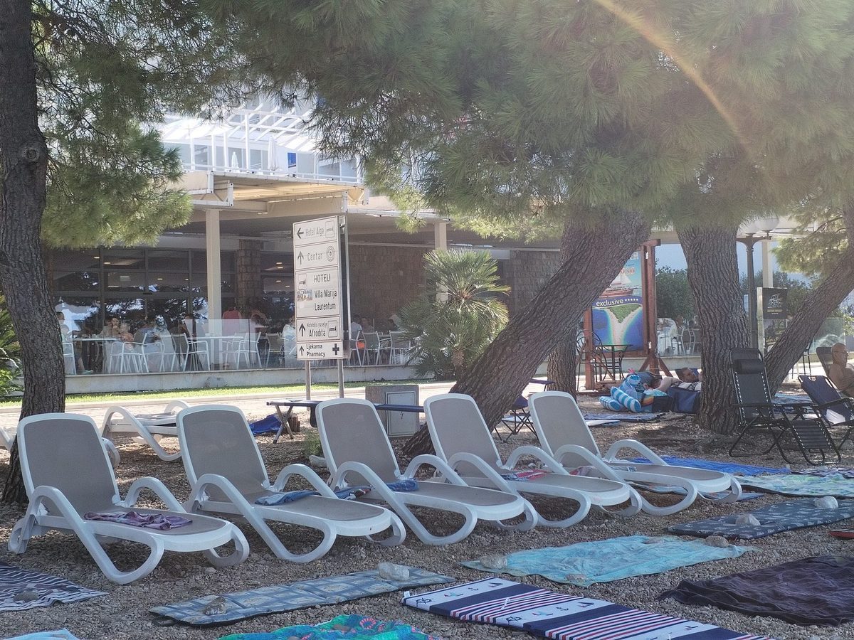 Hotel Alga