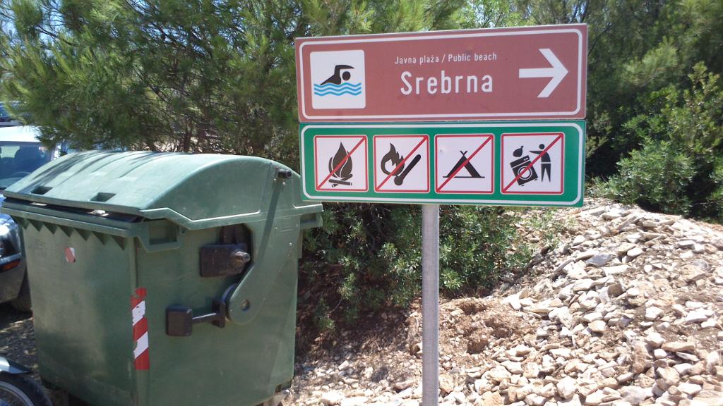 Srebrna