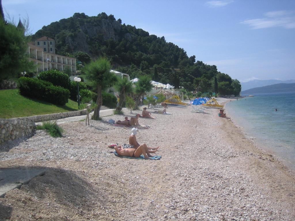 Živogošće