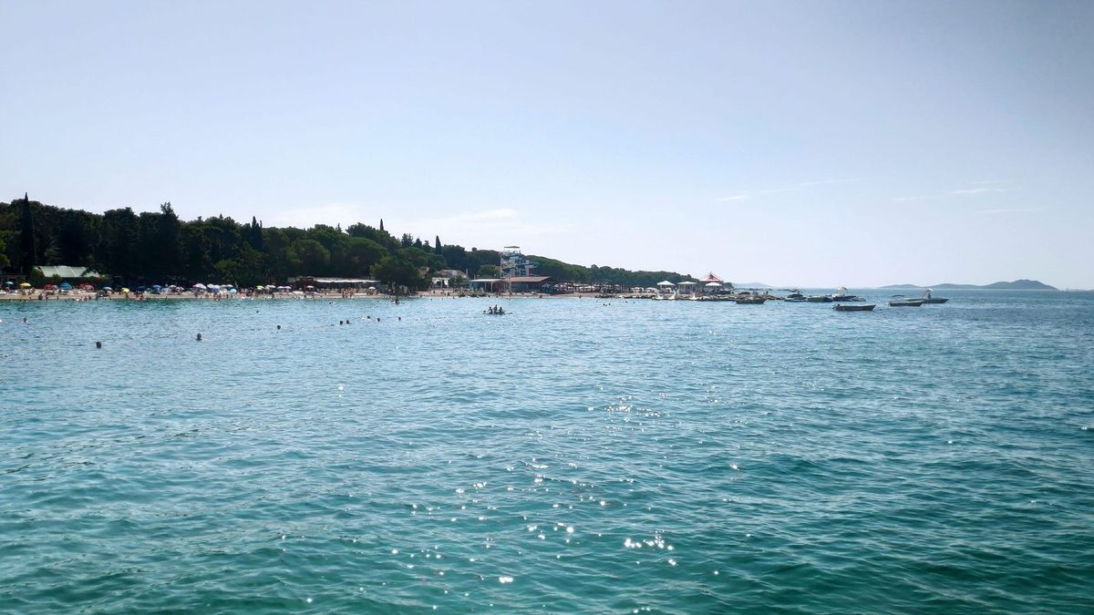 Dražica