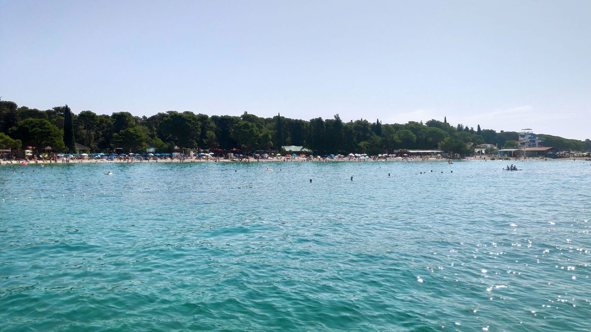 Dražica