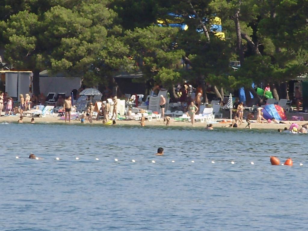 Dražica