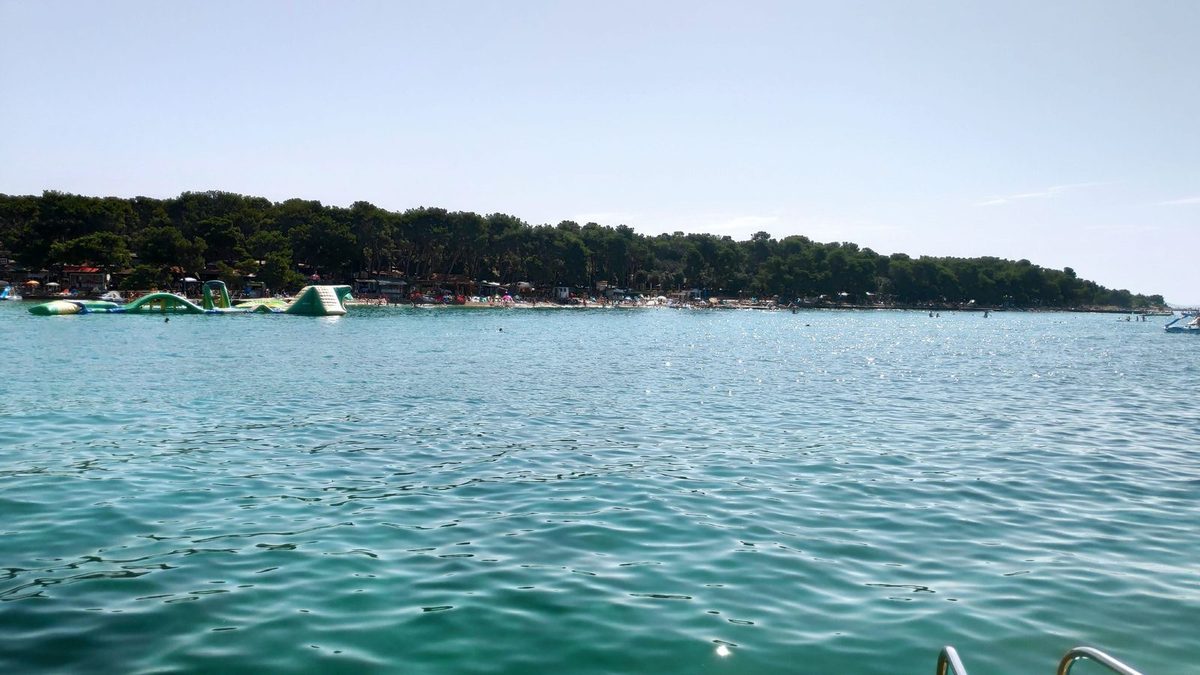 Soline