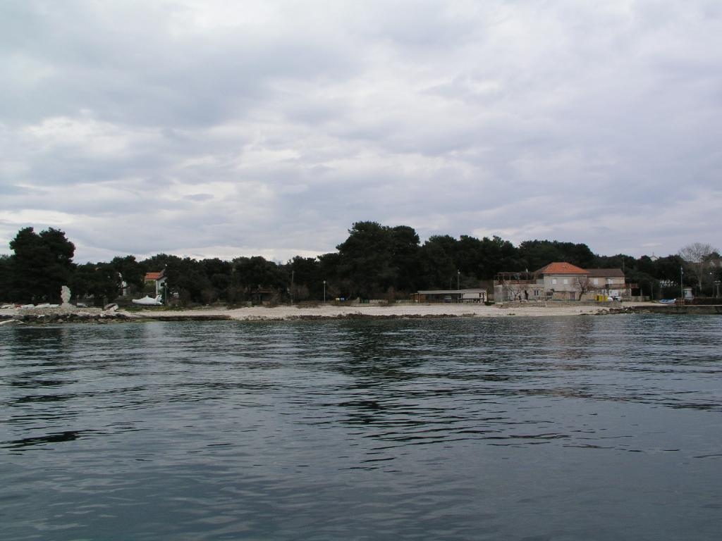 Žalić