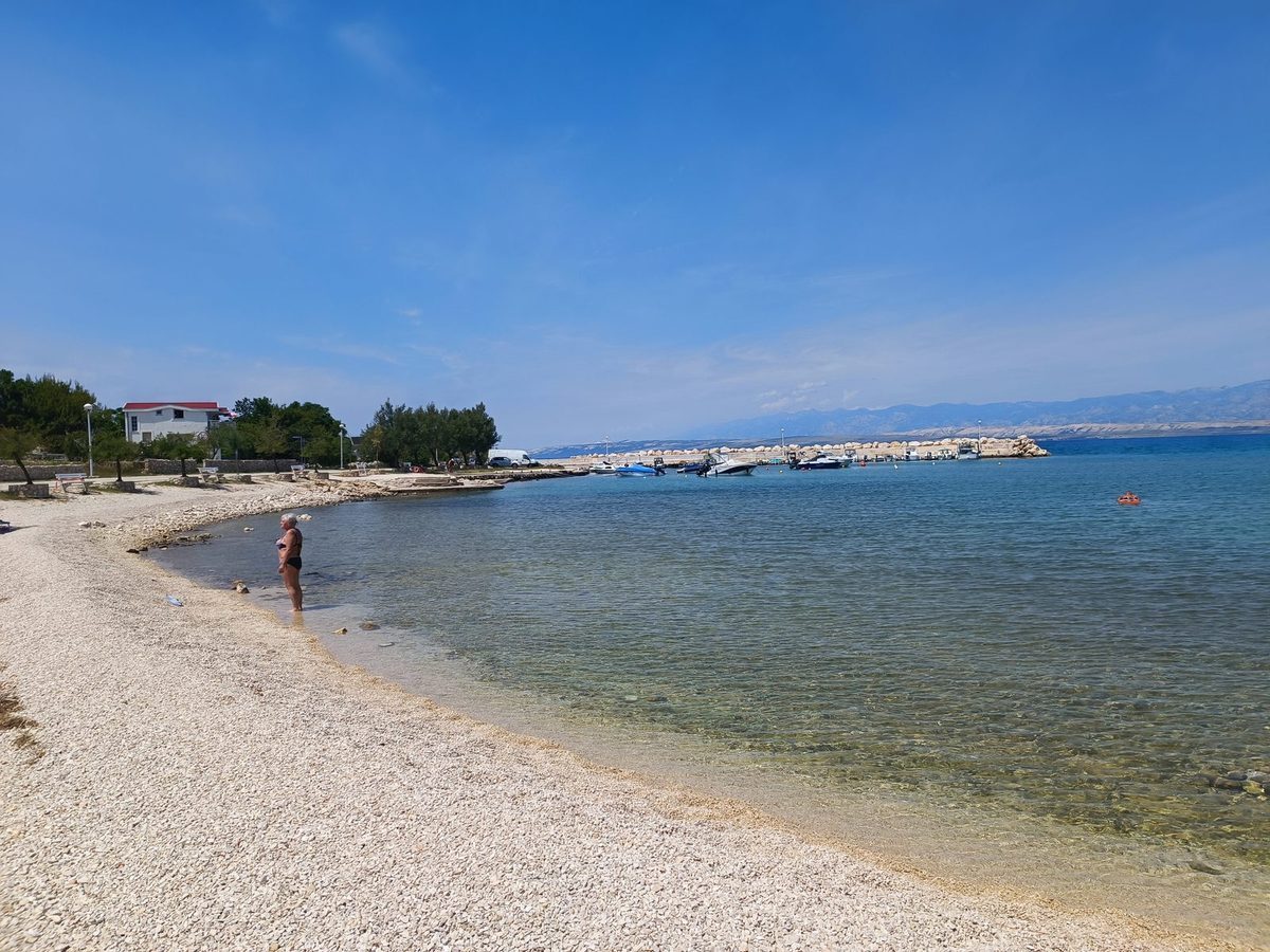 Biskupljača
