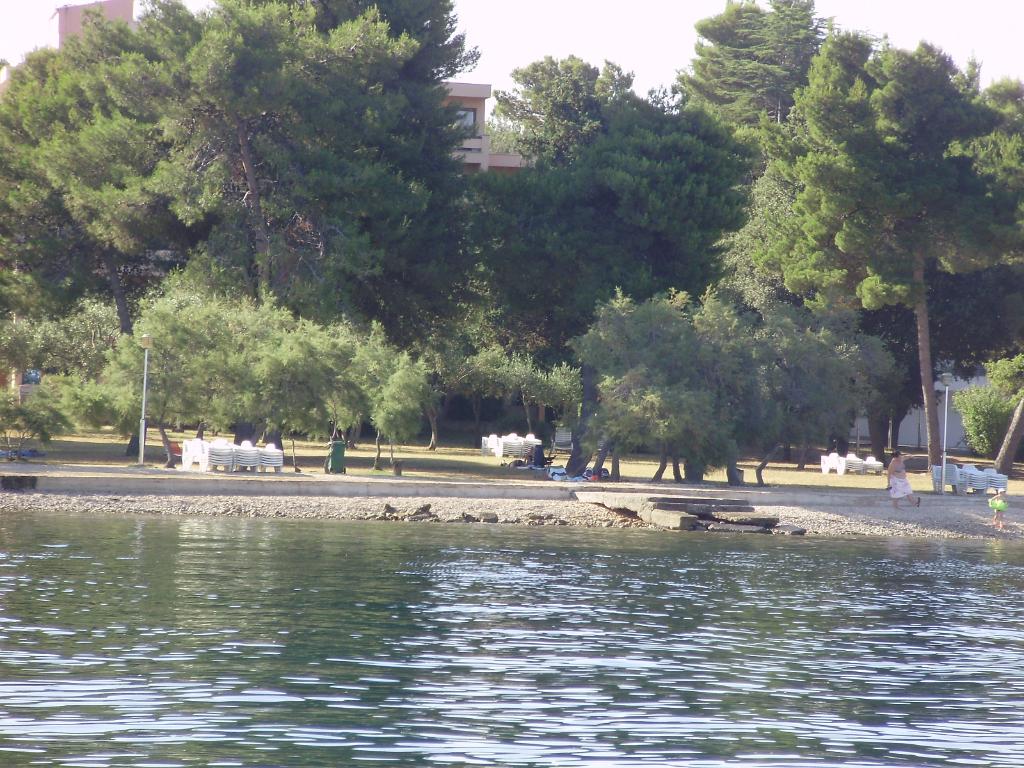 Hotel Donat