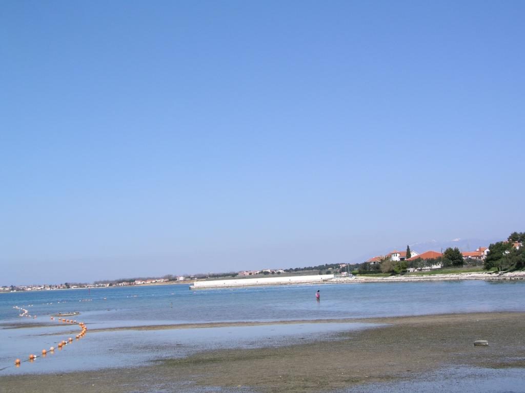 Pliša